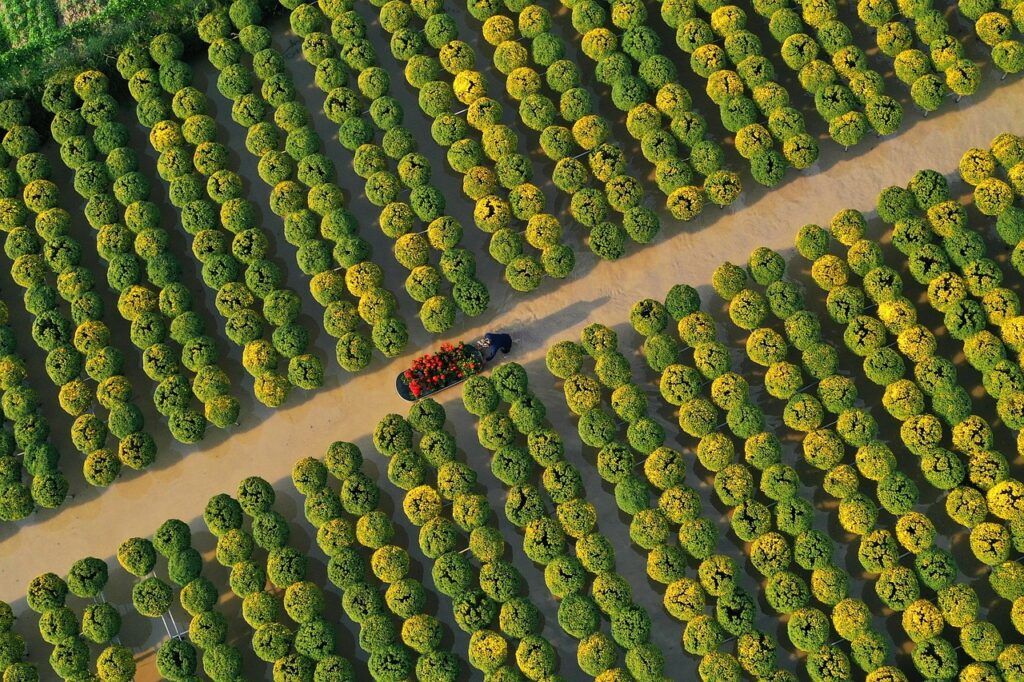 ルギアSAがなぜ高いのか、その理由とは？