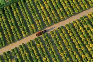 ルギアのSAでの価格はどれくらいですか？