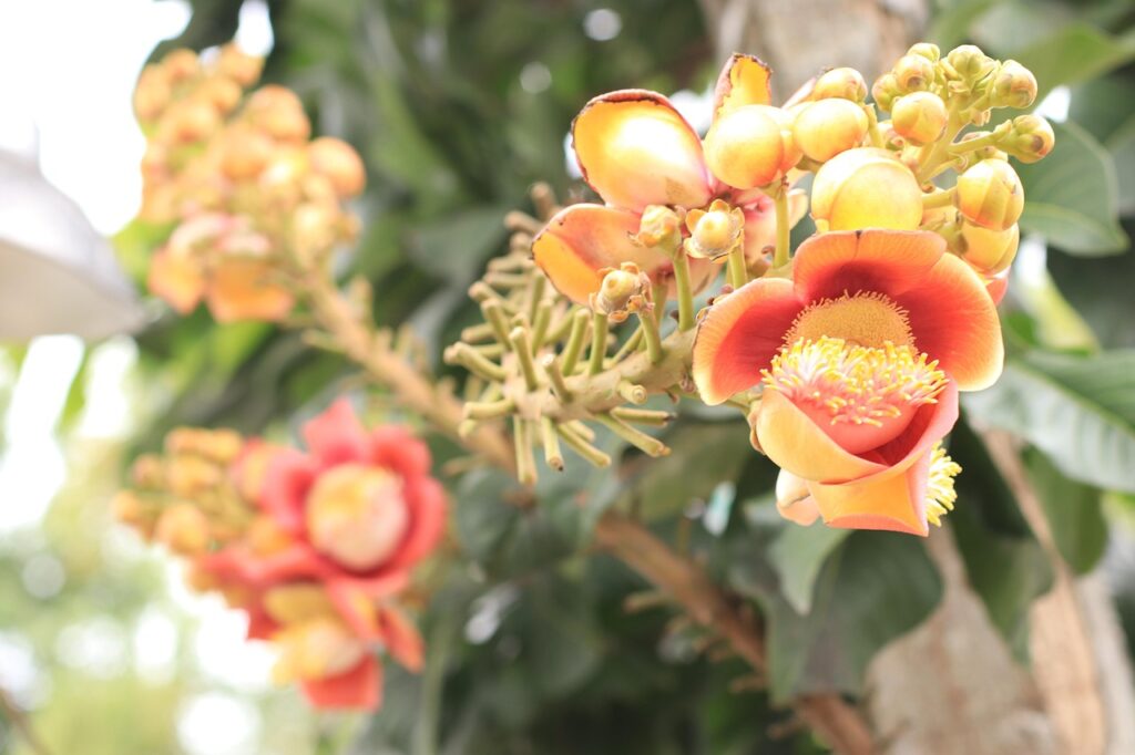 ルギアのSA価格はどのくらいですか？