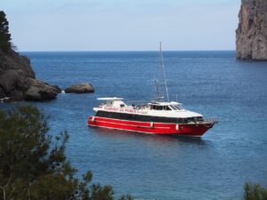 ギラティナのSAがなぜ高いのか、その理由を徹底解説しますか？