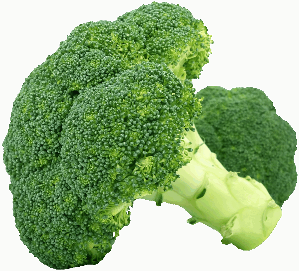 UVカットスリーブのおすすめ商品と選び方は？