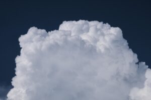 最新弾の高騰予報は今後どうなる？