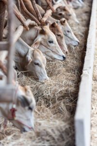 受注生産の相場に影響を与える要因とは？