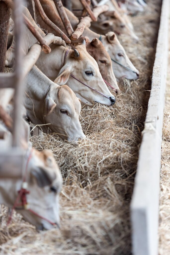 受注生産の相場に影響を与える要因とは？