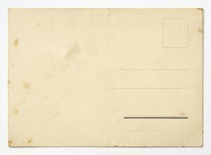 旧裏面カードの希少価値はどのくらい？