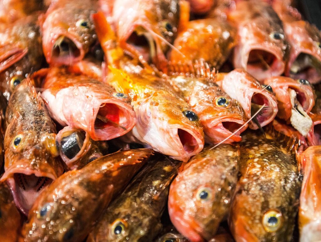 初期ポケモンカードの値上がりの理由とは？