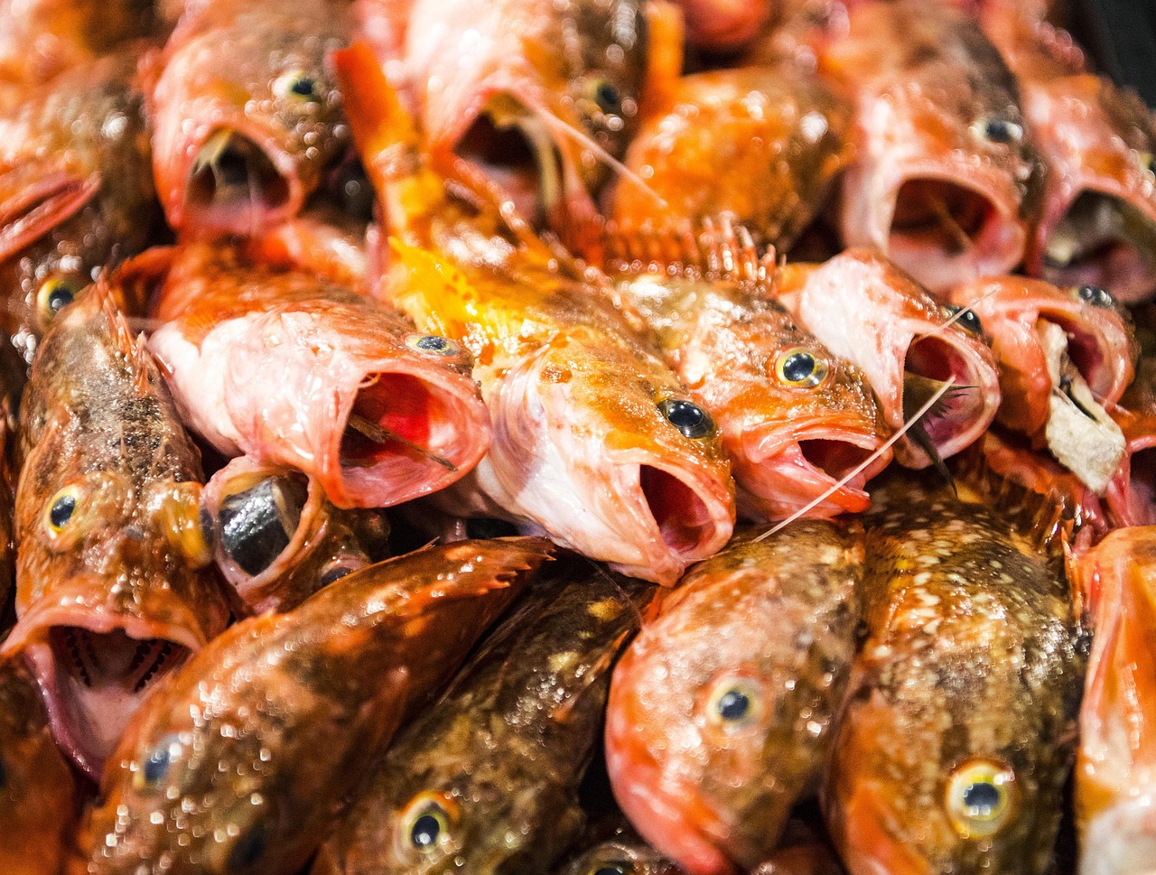 初期ポケモンカードの値上がりの理由とは？