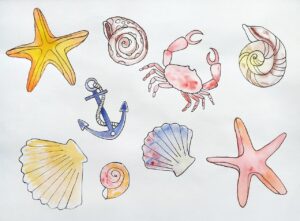 ポケカで後悔しないための選び方とパターンは？