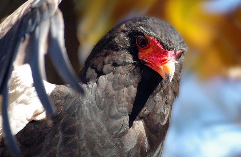 ポケカの短期転売で利益を得るためのポイントは？