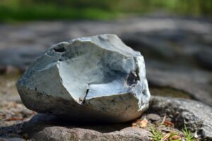 ポケカの高騰に関する最新情報はどこで確認できる？