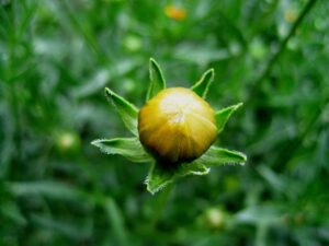 ポケカ未開封BOXの高騰は今後どうなるのか？