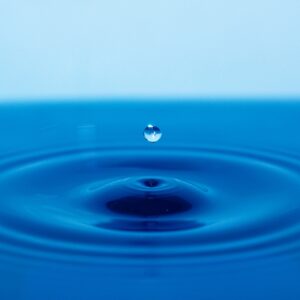 ポケカ買取のタイミングを見極める方法は？